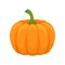 Fresh ripe whole pumpkin vector Illustration on a white background