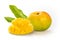 Fresh ripe yellow Auguste mango with slice  cut into cubes on white background