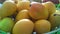 Fresh ripen mangoes