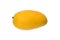 Fresh ripened yellow mango on white background