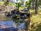 Fresh River Water Among Stones And Green Around, Cianjur, Indonesia - 2021