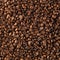 Fresh roasted coffee beans