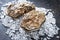 Fresh rock oyster on crushed ice with copy space