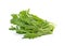 Fresh rocket lettuce leaves or sweet rucola salad isolated on white b