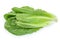 Fresh roman cos lettuce isolated on a white background