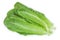 Fresh roman cos lettuce isolated on a white background. Top view. Flat lay
