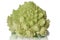 Fresh Romanesco Broccoli