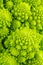 Fresh romanesco cauliflower macro. Shallow DOF. Focus point - center part of image