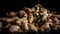 Fresh Root Ginger Pile on Dark Black Background