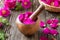 Fresh rosa rugosa petals in a wooden mortar