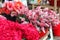 Fresh Rose & Gerbera at a flower Market in the city
