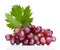 Fresh rose grapes with leaf