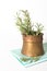 Fresh rosemary in antique metallic pot on blue white striped towel, on white background.