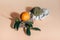 Fresh and rotten mandarins. Spoiled tangerines with green mold and fungus on paper and a ripe fresh one on a rock with a