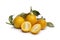 Fresh round kumquast