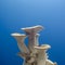 fresh royal oyster mushrooms for cooking vegetarian foods with a large amount of protein