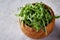 Fresh ruccola in a wooden bowl on white textured background, shallow depth of field.