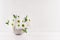 Fresh rural white garden chamomile flowers in glossy grey elegant bowl on soft light white wood board and white plaster wall.