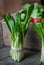 Fresh rustic harvest of wild leak or ramson leaves bunch