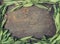 Fresh sage leaves on rustic wooden background, frame, top view, toned