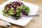 Fresh Salad and herbs on Plate with Fork and Napkin