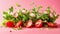 Fresh salad ingredients arugula, lettuce, radish, and tomato on pink background