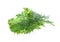 Fresh salad, parsley, dill on white background