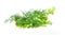 Fresh salad, parsley, dill on white background