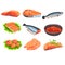 Fresh salmon fish set, fillet, steak and caviar, seafood product vector Illustrations on a white background