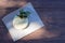 Fresh salted levantine halloumi cheese and a sprig of basil on white paper on a brown wooden background.