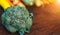 Fresh salubrious colourful vegetables on wooden background, broccoli in focus, potatoes, carrots, zucchini unfocused, selected