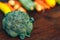 Fresh salubrious colourful vegetables on wooden background, broccoli in focus, potatoes, carrots, zucchini unfocused, selected
