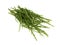 Fresh Samphire