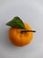 Fresh Santang Oranges are on a white background