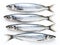 Fresh sardines on white background. Omega 3 fish oil concept. Freshly caught silver fish, the natural source of omega-3 for a