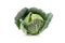 Fresh savoy cabbage