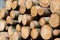 Fresh sawed wood in a close up view. Detailed texture of annual rings in a wooden surface