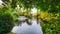 Fresh scenery of a small pond with a fountain in the park