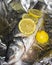 Fresh sea bass with lemon and spices on aluminum foil