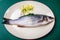 Fresh sea bass on a white plate