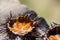 Fresh sea urchins, ricci di mare, on a rock, close up. A typical dish of Salento, Puglia, is eaten raw with bread, seafood