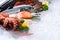 Fresh seafood on ice background