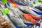 Fresh seafood in turkish fish market