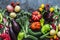 Fresh seasonal vegetables food background. Aubergines, tomatoes, radishes, peppers, broccoli, potatoes, beets on a dark background