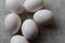 Fresh Set of chicken`s white Eggs display