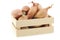 Fresh shallots in a wooden box