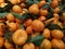 Fresh shantang Mandarin fruits with green leaves