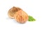 Fresh shelled sweet edible chestnut on white background