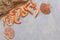 Fresh shrimps, scallop shells and fishnet. Top view, close up on light concrete background
