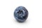 Fresh single blueberry on white background